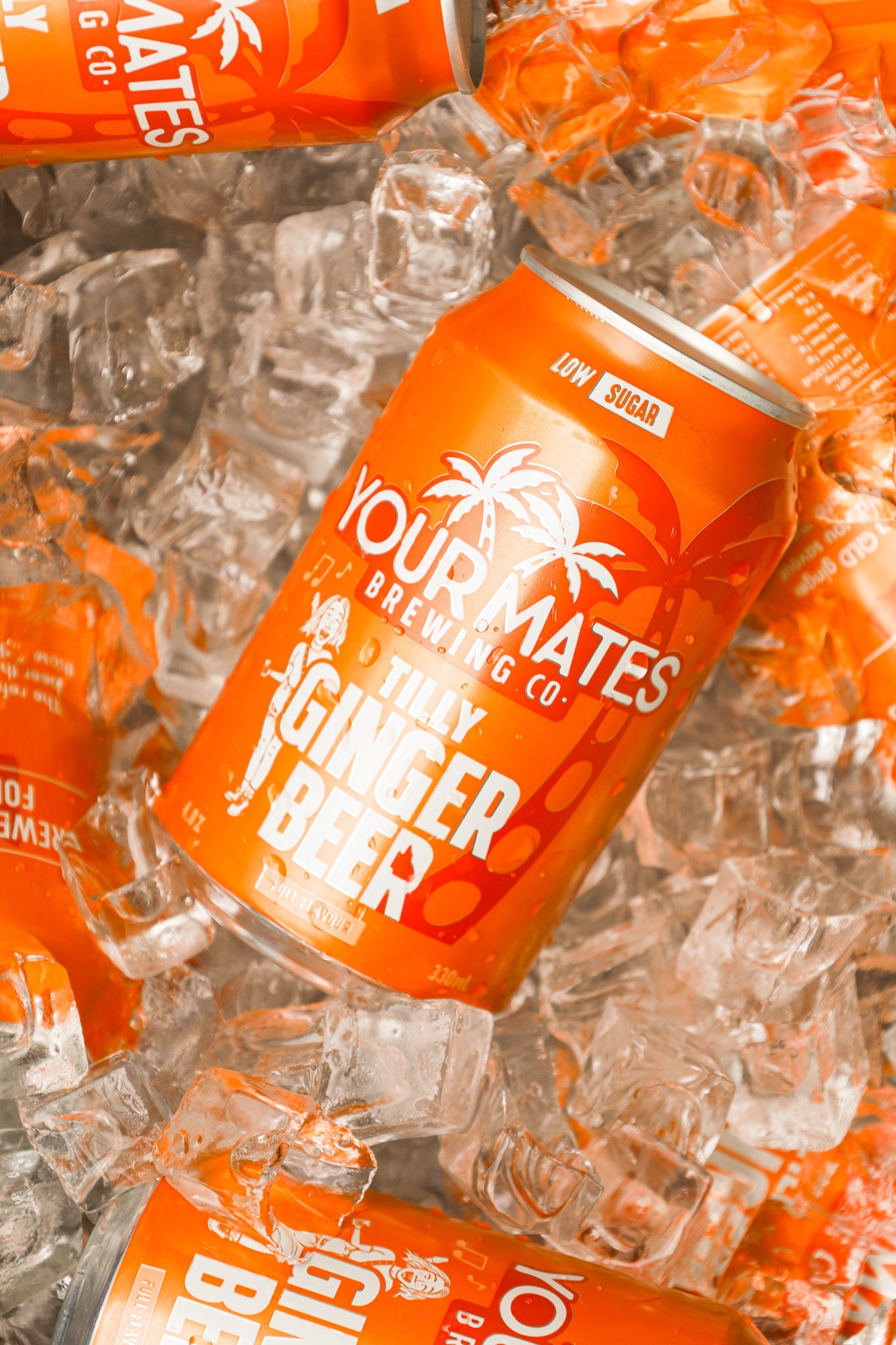 Your Mates Ginger Beer Your Mates Beer