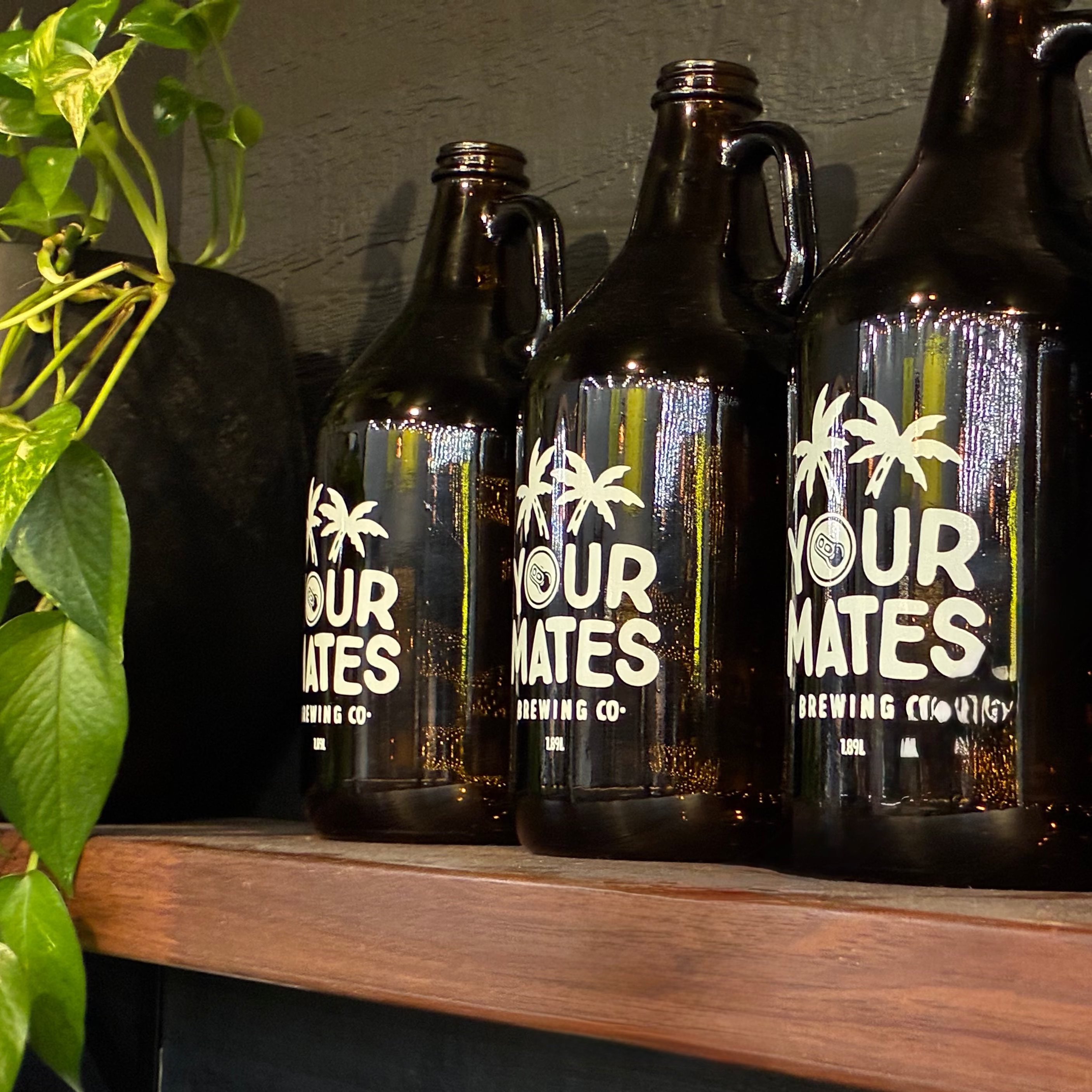 Four dark glass growlers with 'Your Mates Brewing Co.' branding on a wooden shelf.